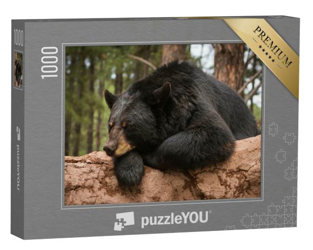 Puzzle 1000 Teile „Fauler Bär auf einem Baumstamm“