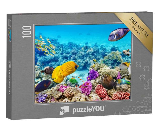 Puzzle 100 Teile „Wunderbare und schöne Unterwasserwelt mit Korallen und tropischen Fischen“