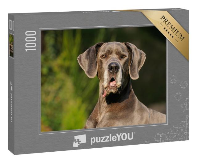 Puzzle 1000 Teile „Deutsche Dogge Blau: 12 Jahre alt“