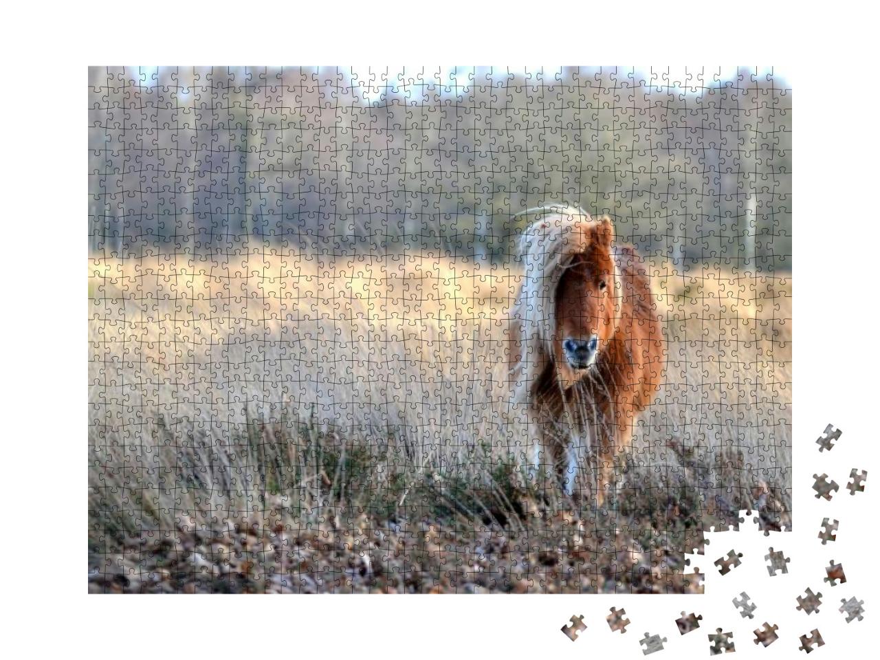 Puzzle 1000 Teile „Wunderschönes Pony“