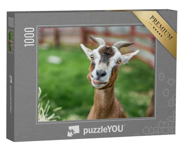 Puzzle 1000 Teile „Nahaufnahme: lustige Ziege auf der Wiese“