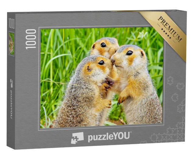 Puzzle 1000 Teile „lustige, niedliche, liebende Erdhörnchen“