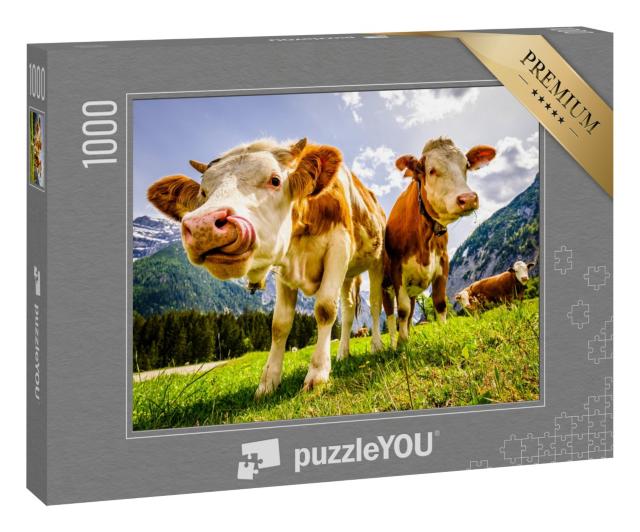 Puzzle 1000 Teile „Neugierige Kühe auf der Eng Alm in Österreich“