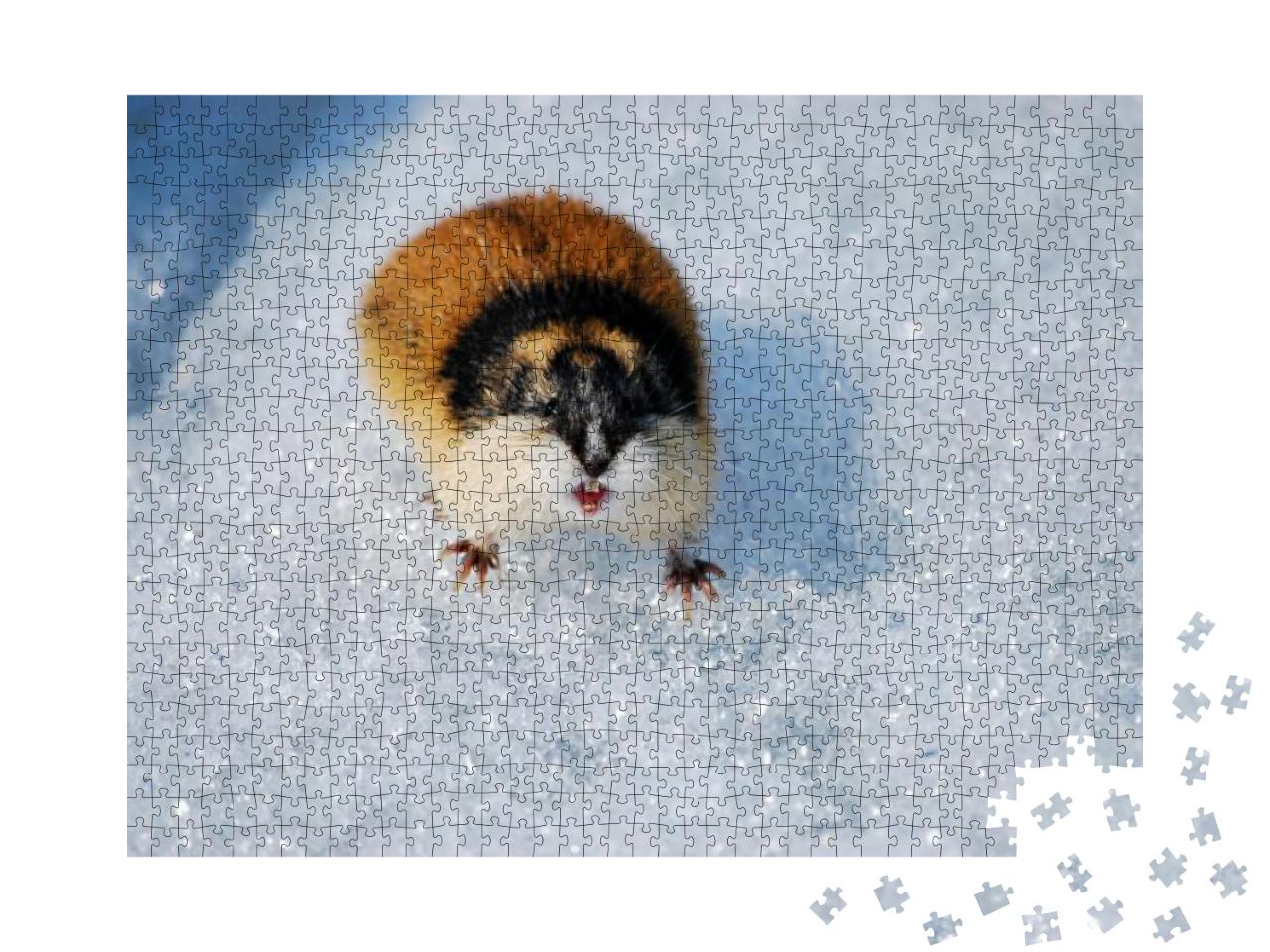 Puzzle 1000 Teile „Wütender Lemming im Schnee zeigt seine Zähne“