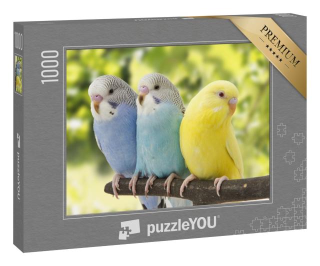 Puzzle 1000 Teile „Drei Wellensittiche auf einem Ast, blauweiße Vögel, gelber Vogel“