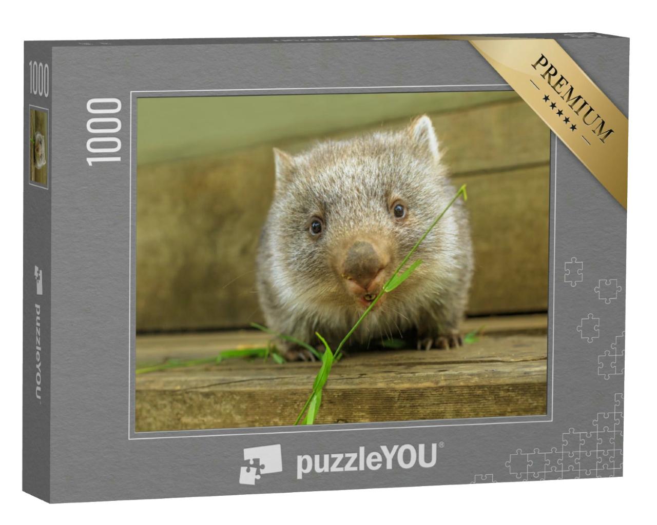 Puzzle 1000 Teile „Niedliches Wombat-Jungtier bei der Nahrungsaufnahme“