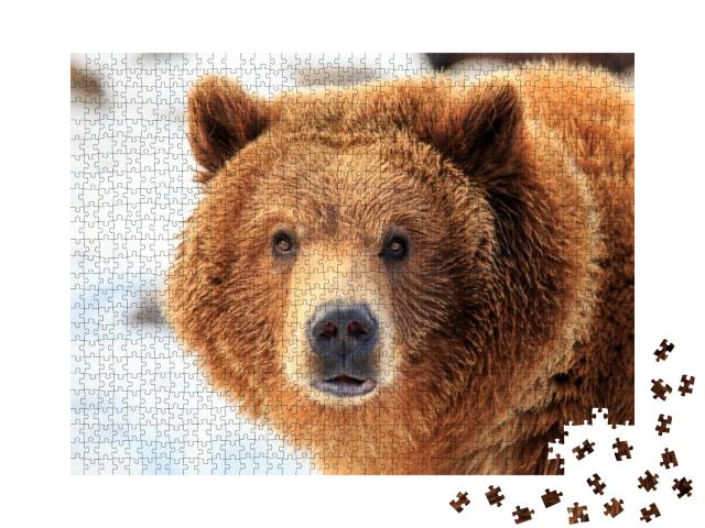 Puzzle 1000 Teile „Grizzlybär“