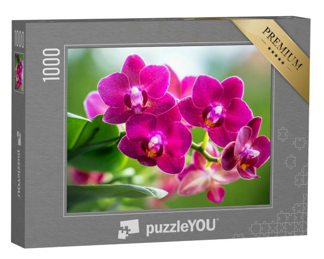 Puzzle 1000 Teile „Das strahlende Pink einer blühenden Orchidee“