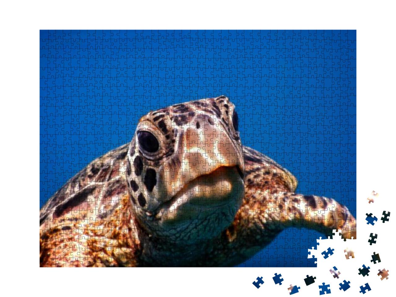 Puzzle 1000 Teile „Samoa: Eine grüne Meeresschildkröte auf Savaii“