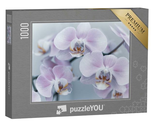 Puzzle 1000 Teile „Schöne zarte Orchidee in weichem Licht“