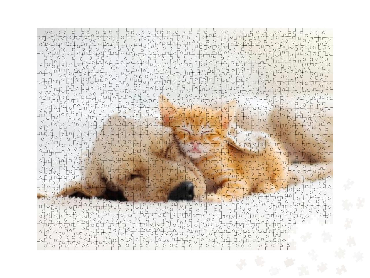 Puzzle 1000 Teile „Kätzchen und Hundewelpe beim Mittagschlaf“