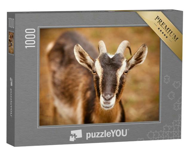 Puzzle 1000 Teile „Porträt einer Ziege auf einem Bauernhof“