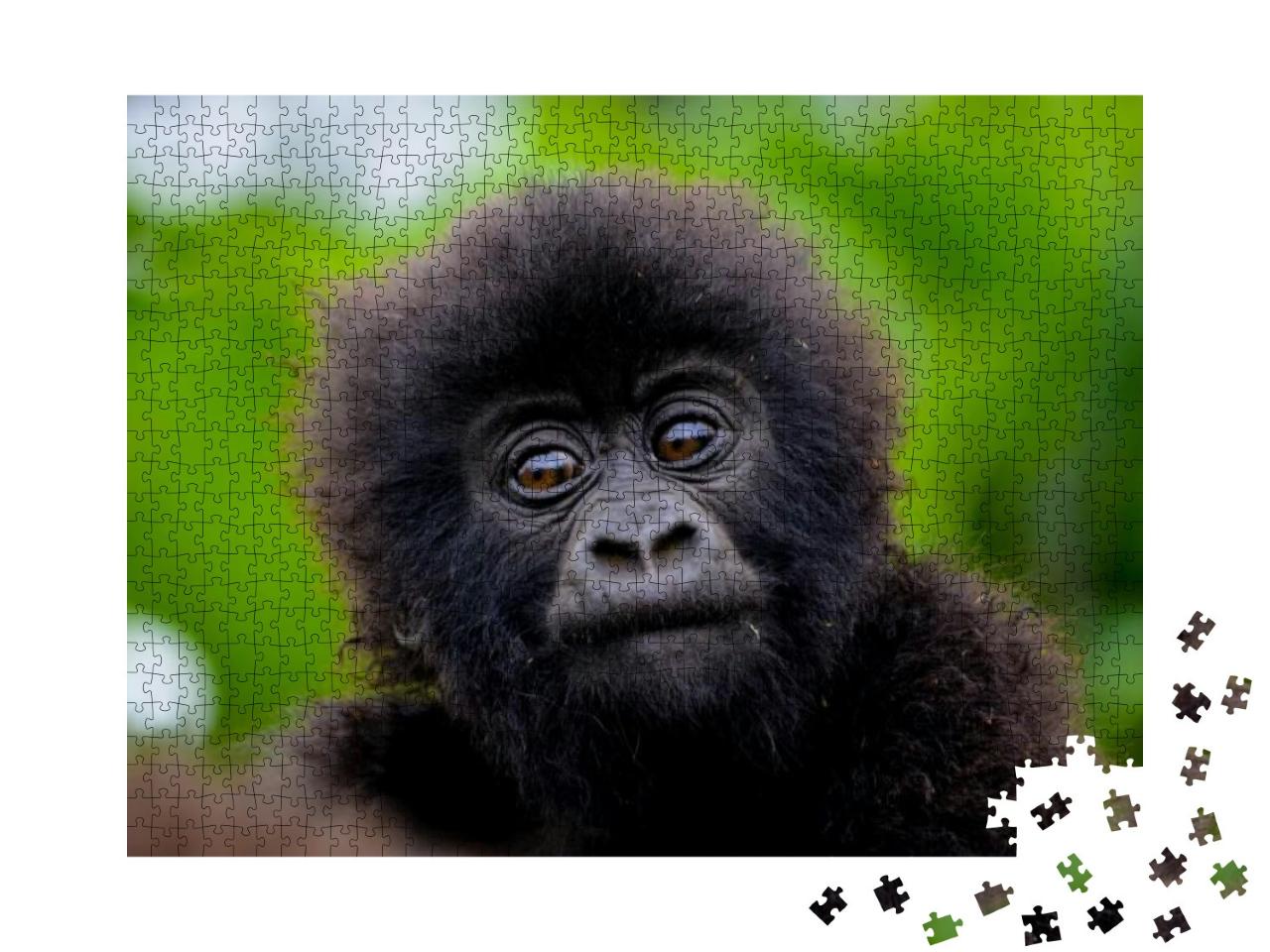Puzzle 1000 Teile „Ein kleines Gorillababy“