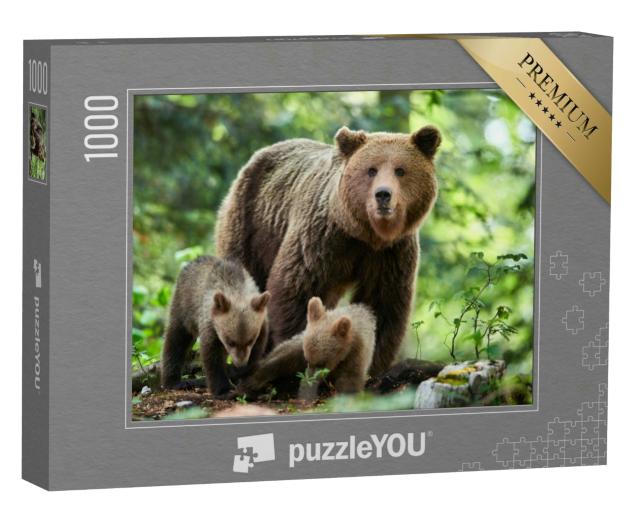 Puzzle 1000 Teile „Wilder Braunbär, Ursus arctos in Nahaufnahme“