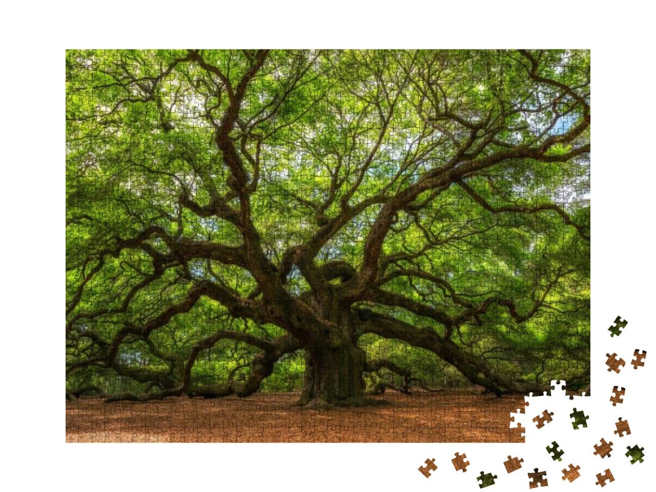 Puzzle 1000 Teile „Winkeleichenbaum in Johns Island, South Carolina“