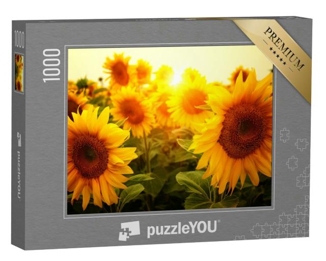 Puzzle 1000 Teile „Sonnenblumenfeld und Sonne“