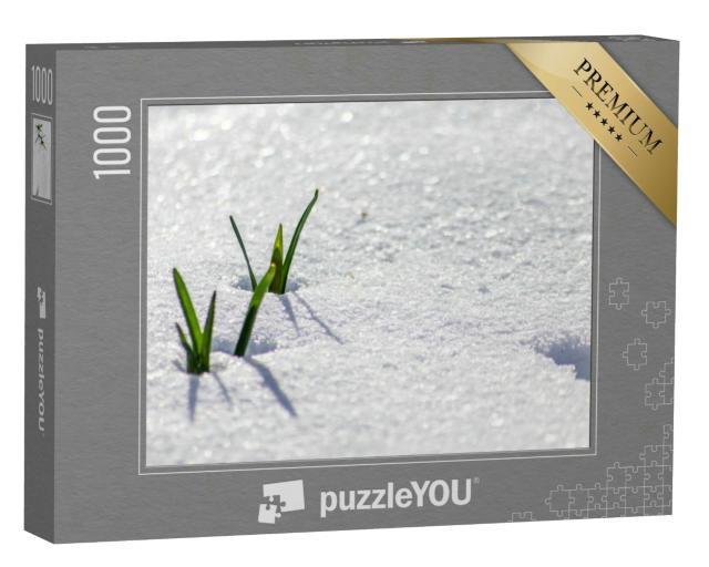 Puzzle 1000 Teile „Vorboten des Frühlings: Frisches Grün blinzelt durch die Schneedecke“