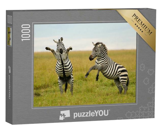 Puzzle 1000 Teile „Spiel oder Kampf? Burchell- oder Steppenzebra in Tansania“