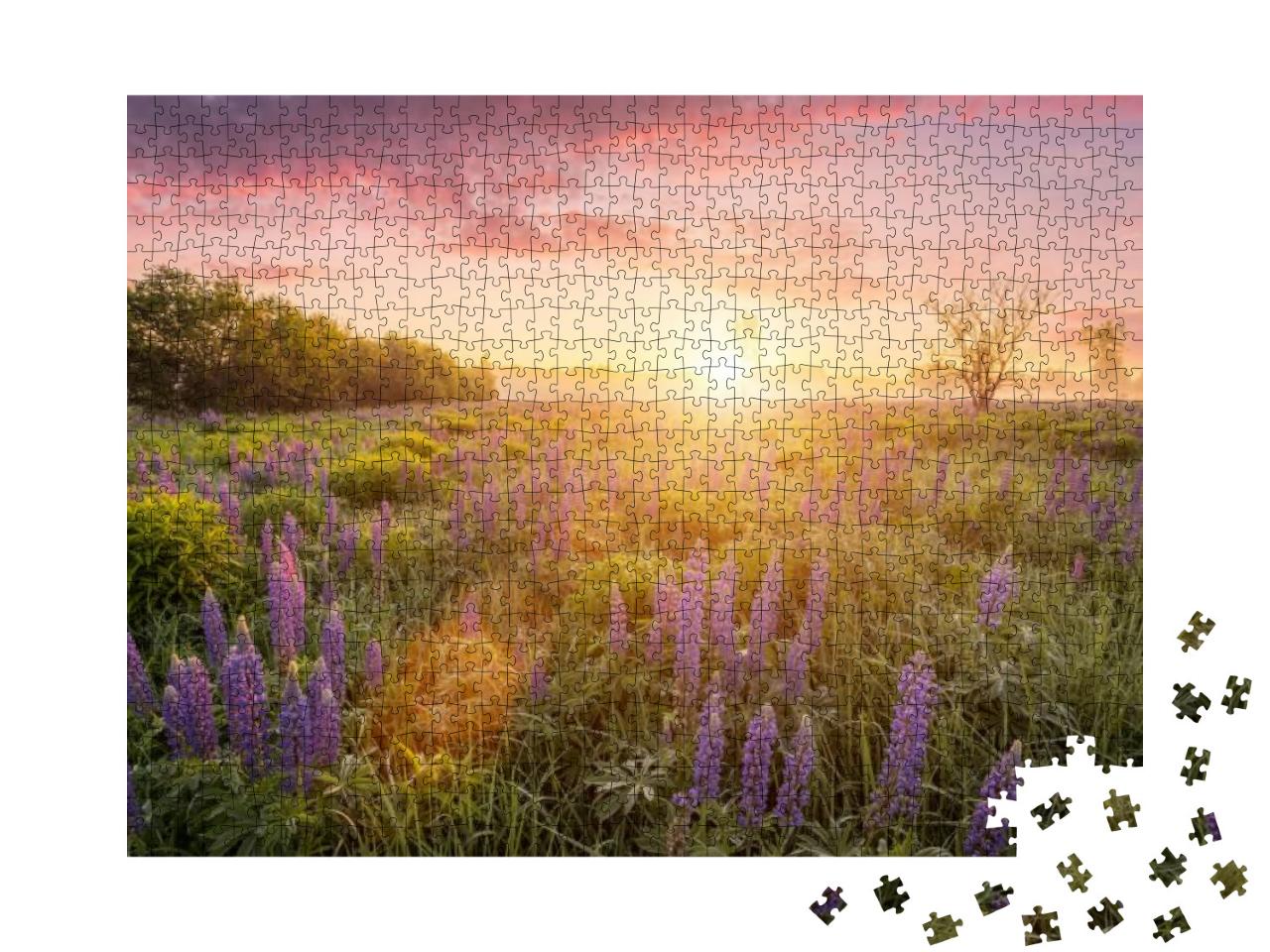 Puzzle 1000 Teile „Erste Sonnenstrahlen über einer Wiese mit blühenden Lupinen“