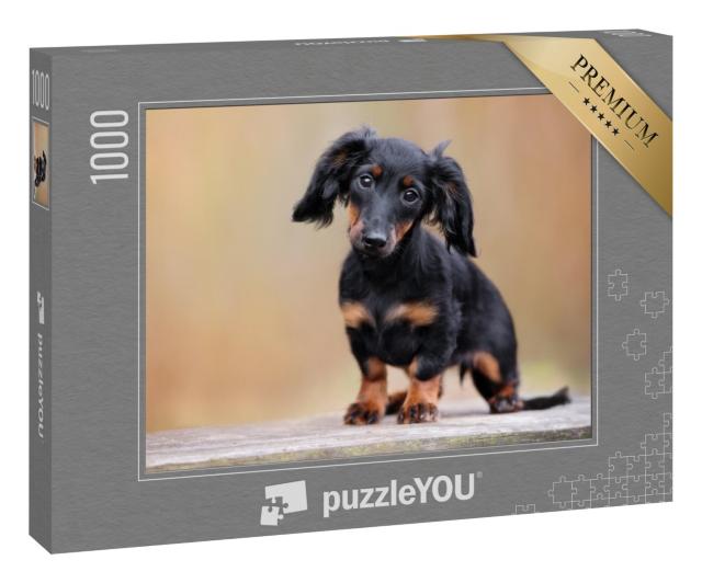 Puzzle 1000 Teile „Schwarzer Dackel: Welpe, Portrait im Freien“