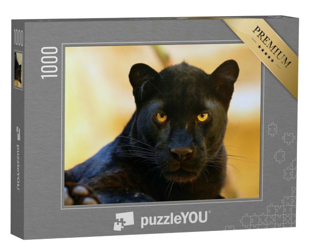 Puzzle 1000 Teile „Auge in Auge mit einem schwarzen Panther“