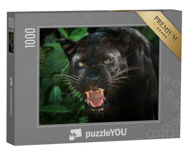Puzzle 1000 Teile „schwarzer Panther“