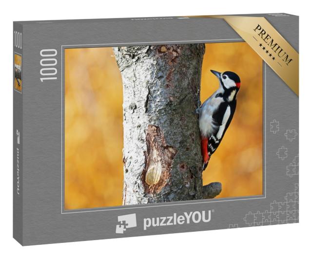 Puzzle 1000 Teile „Buntspecht im herbstlichen Wald“