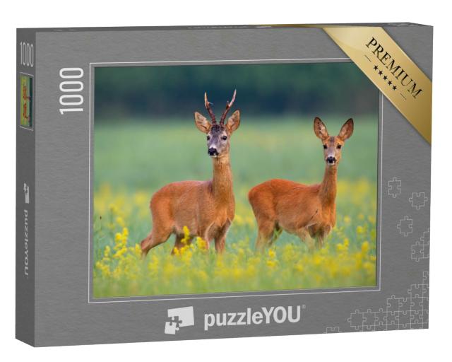 Puzzle 1000 Teile „Rehwild auf einem Feld voller gelben Wildblumen“