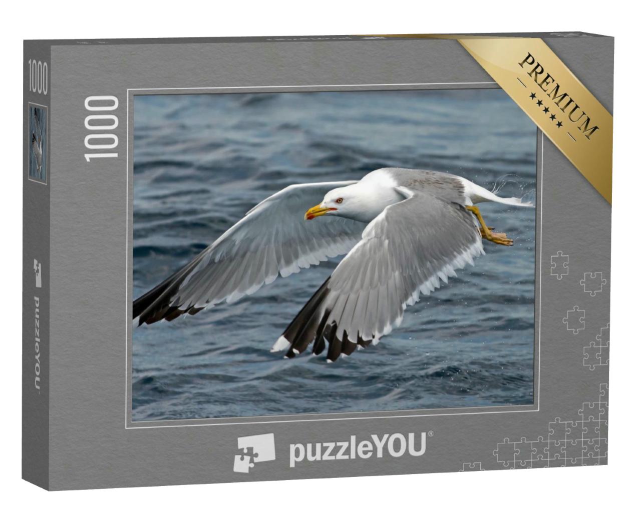 Puzzle 1000 Teile „Detailstudie: Möwe im Flug“