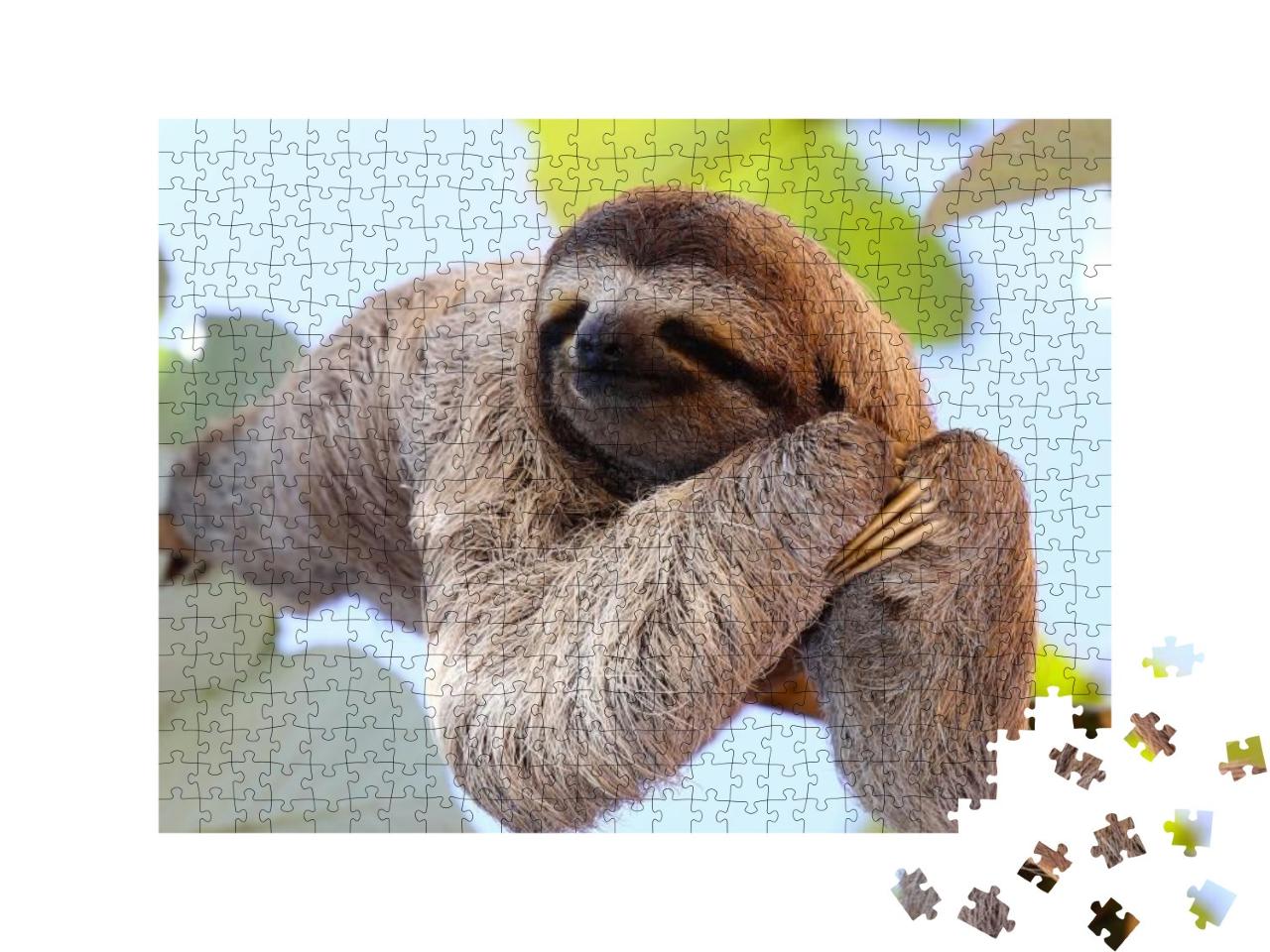 Puzzle 500 Teile „Glückliches Faultier hängt am Baum“