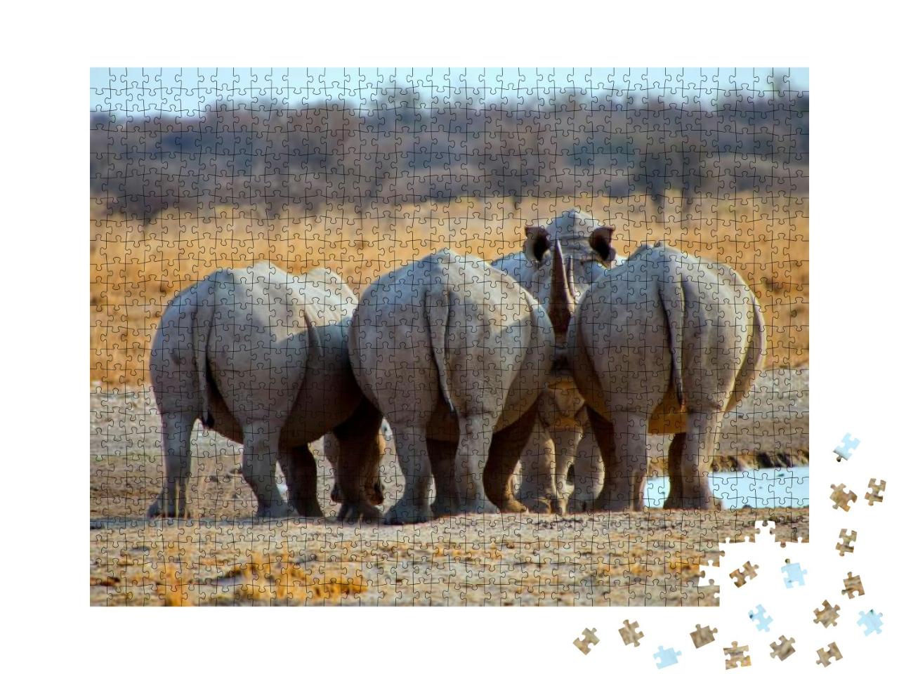 Puzzle 1000 Teile „Drei Breitmaulnashörner von hinten, Botswana Afrika“