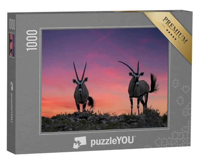 Puzzle 1000 Teile „Zwei große Antilopen mit spektakulären Hörner, Kalahari“