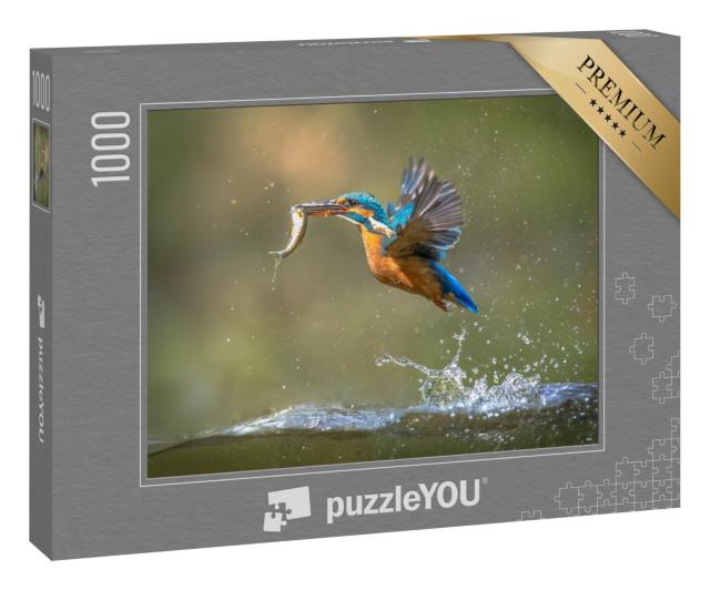 Puzzle 1000 Teile „Eisvogel mit Fisch im Schnabel taucht auf“