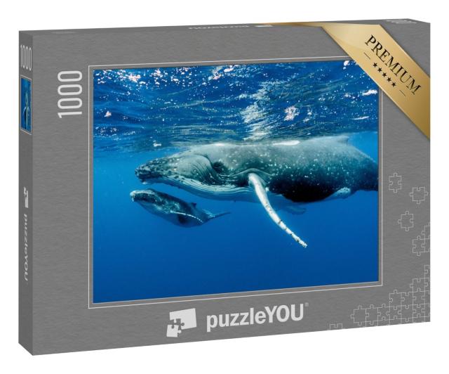 Puzzle 1000 Teile „Zwei Buckelwale unter der Wasseroberfläche im Pazifischer Ozean“