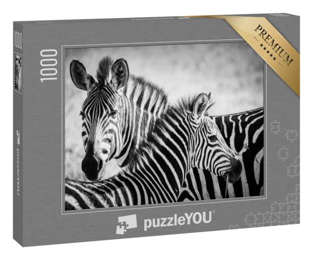 Puzzle 1000 Teile „Zebramutter und ihr Junges im Serengeti-Nationalpark“