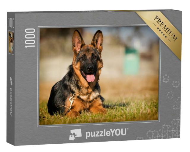 Puzzle 1000 Teile „Deutscher-Schäferhund-Welpe, Alter fünf Monate, liegt im Gras“