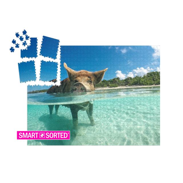 SMART SORTED® | Puzzle 1000 Teile „Wasserbegeistertes Wildschwein auf den Bahamas, Karibik“
