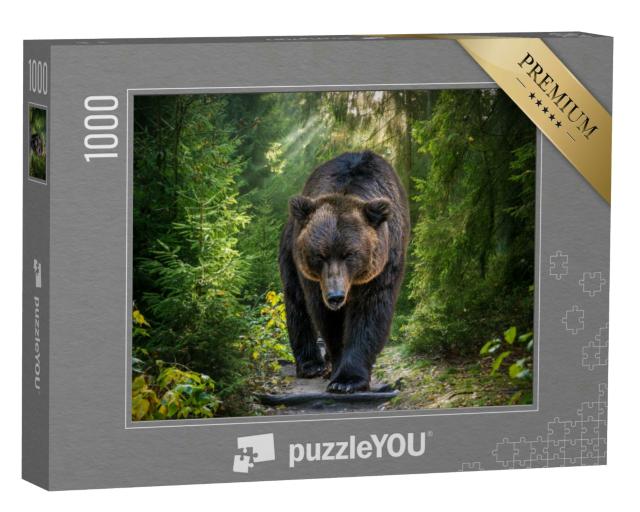 Puzzle 1000 Teile „Nahaufnahme: Kamtschatka-Braunbär oder Ursus arctos piscator“