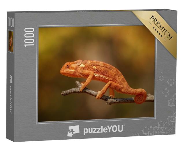 Puzzle 1000 Teile „Wildes Chamäleon: Lebensraum Natur, Afrika“