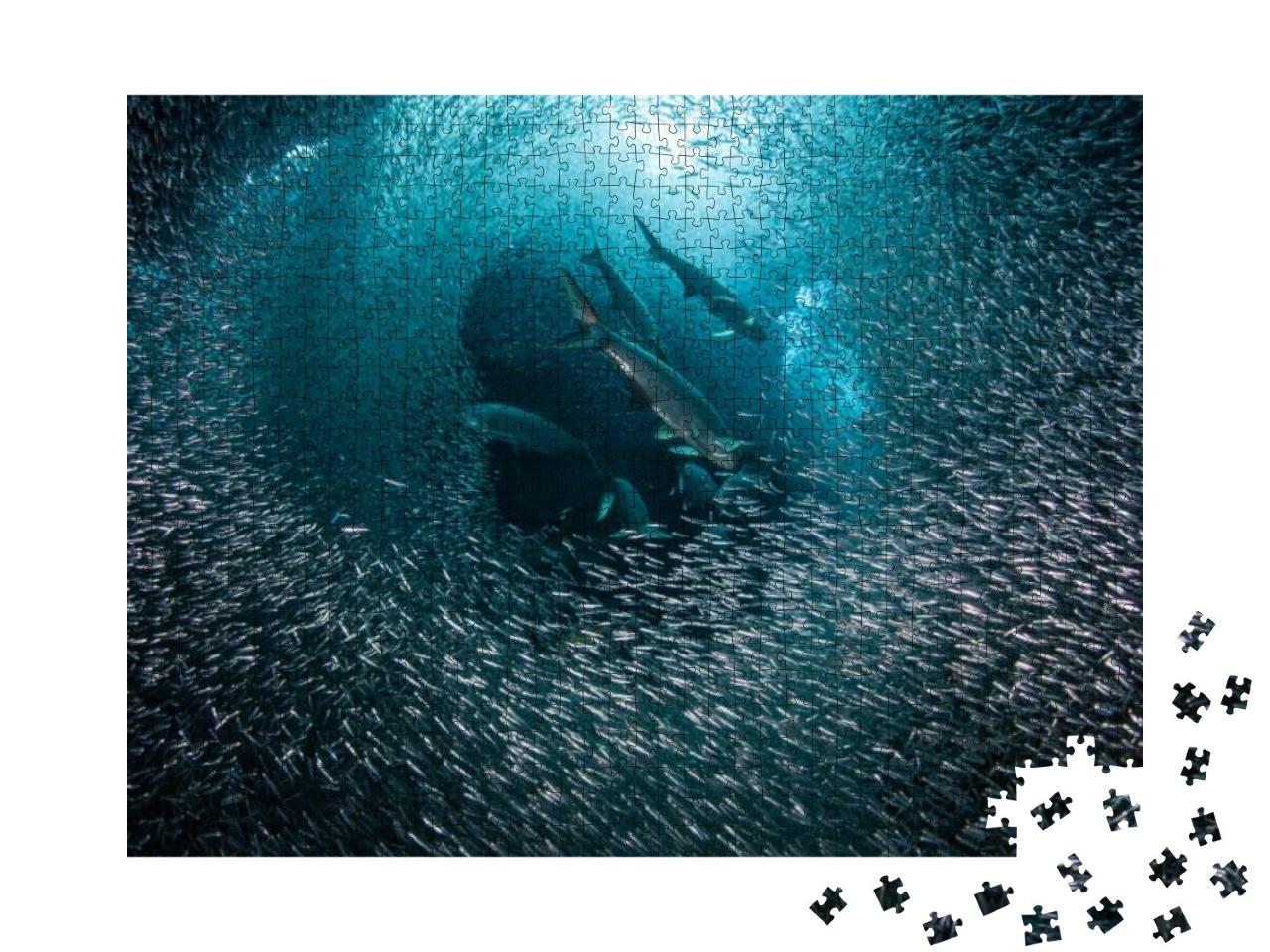 Puzzle 1000 Teile „Raubfische auf der Jagd im Fischschwarm“