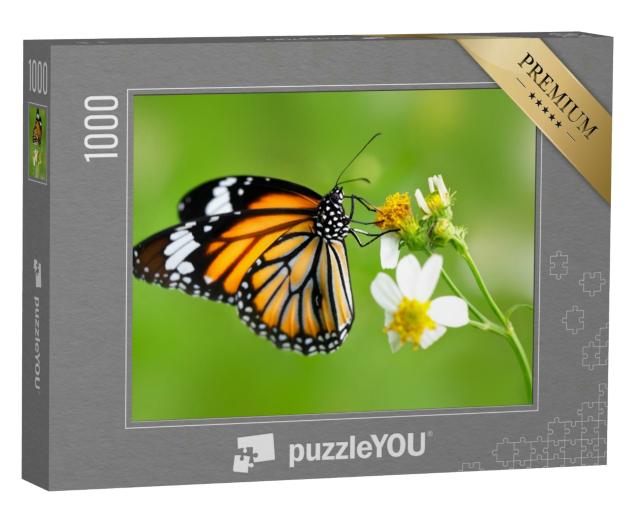 Schmetterlinge-Puzzles - 1000 Teile Puzzle