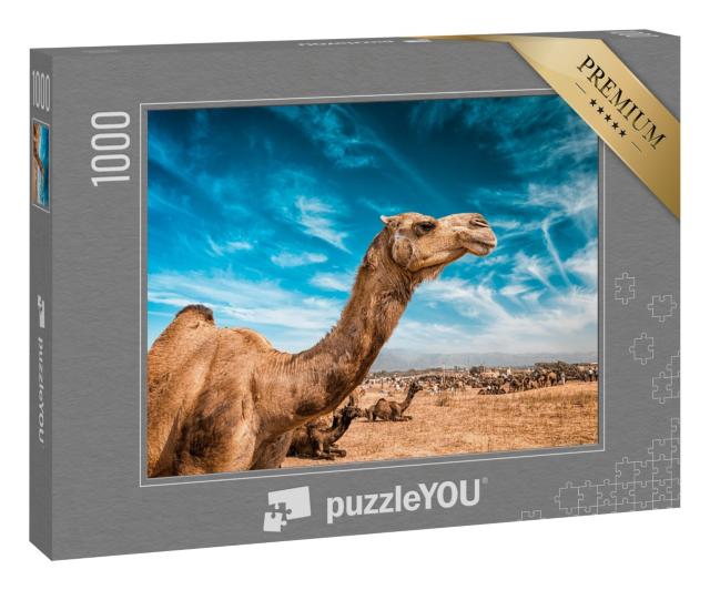 Puzzle 1000 Teile „Kamel auf der Pushkar Mela“