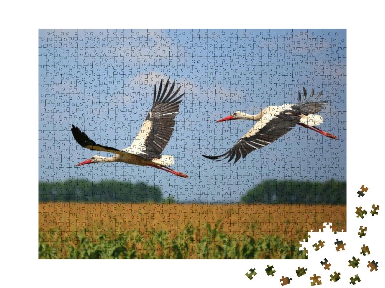 Puzzle 1000 Teile „Zwei Störche fliegen über ein Feld“