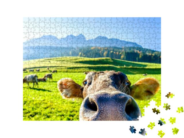 Puzzle 500 Teile „Neugierige Kuh“