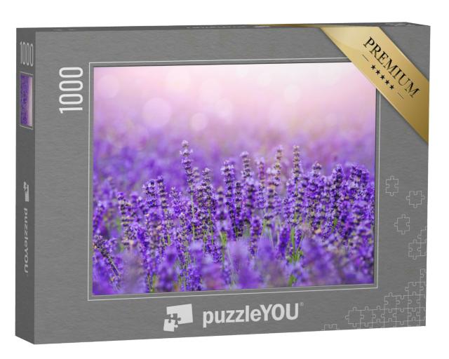 Puzzle 1000 Teile „Sonnenuntergang über einem violetten Lavendelfeld in der Provence“
