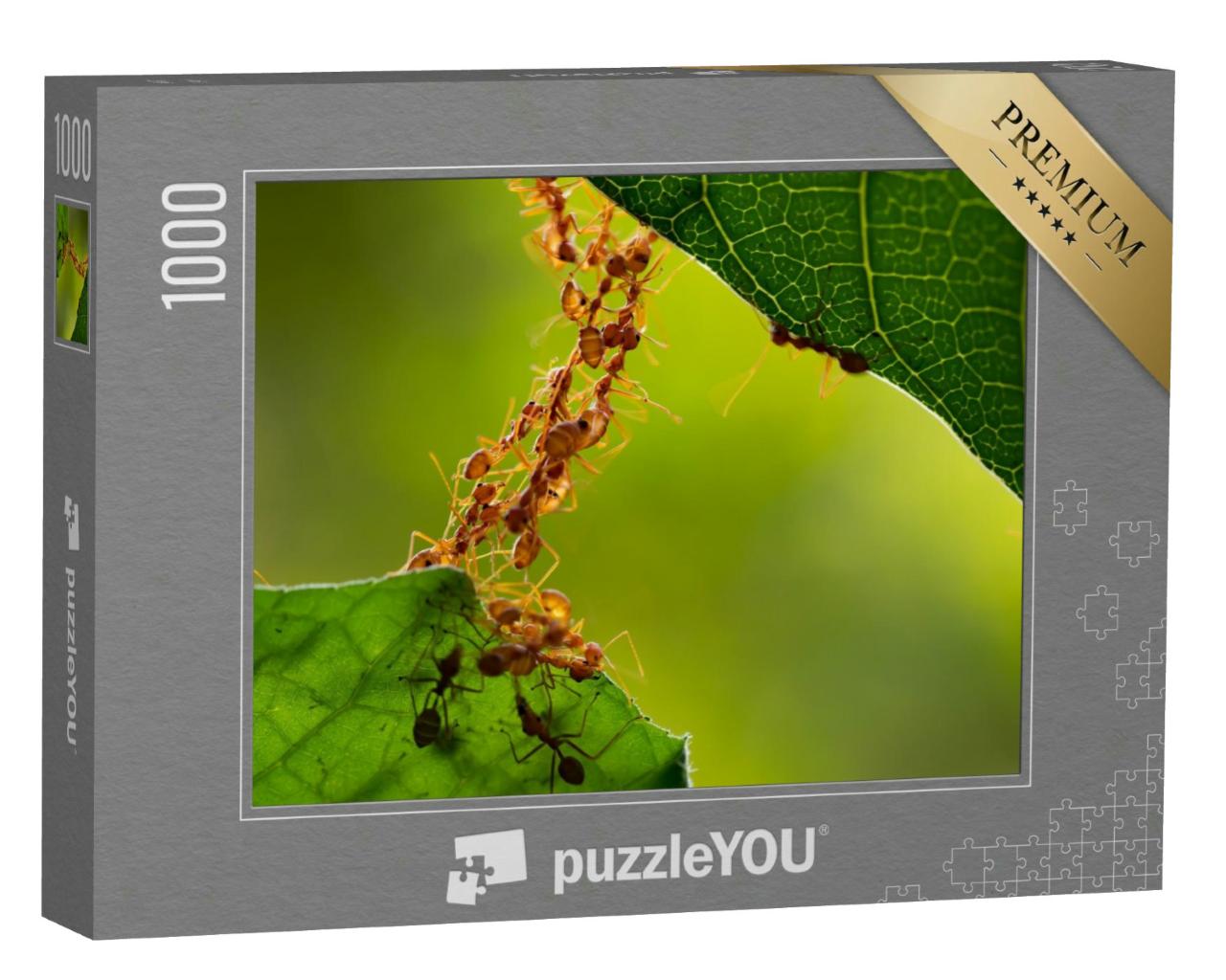 Puzzle 1000 Teile „Ameisen-Aktion: Ameisen-Brücken-Einheitsteam“