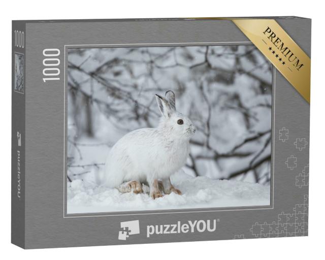 Puzzle 1000 Teile „Weißer Schneehase im kanadischen Winter“