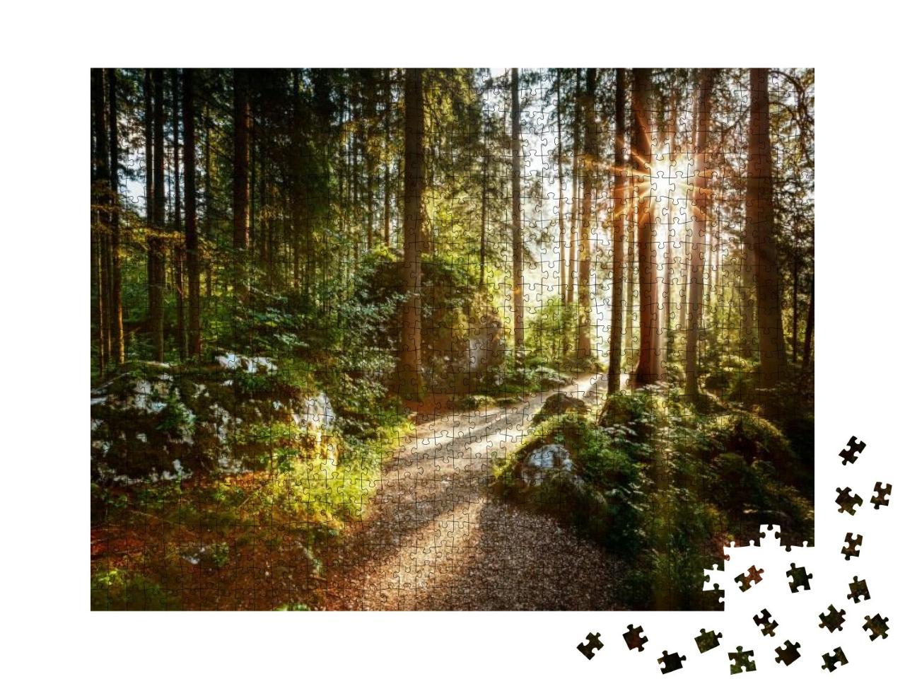 Puzzle 1000 Teile „Magische Landschaft und Weg durch den Wald in der Morgensonne“