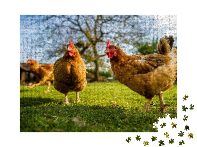 Puzzle 1000 Teile „Freilandhühner auf einem traditionellen Geflügelhof“