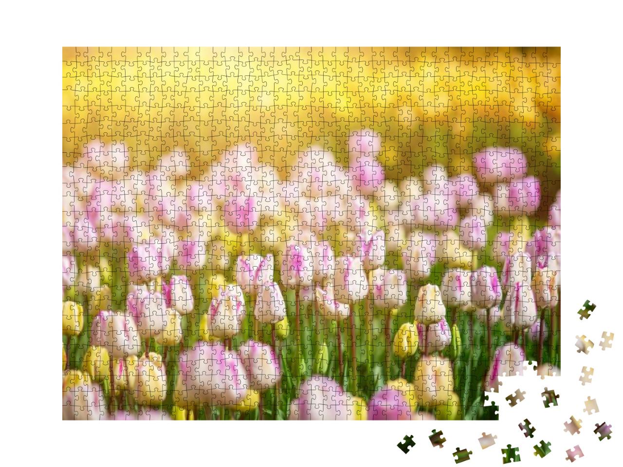 Puzzle 1000 Teile „Frühlingswiese mit vielen violetten und gelben Tulpenblüten“